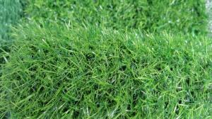 Buy cheap 50mm Height Sports Artificial Grass Turf for Soccer Field Football Field Carpet from wholesalers