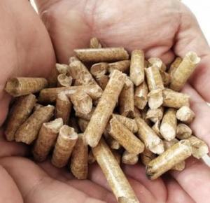 China Pine Biomass Fuel Wood Pellets , Briquette Biomass Sawdust Pellet on sale