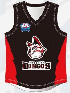  Fast Dry 100% Polyester 300gsm Afl Heritage Jumpers Sleeveless Manufactures