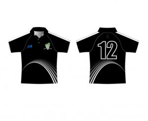  BSCI 100% Polyester Customized Cricket Teamwear Jersey Mens use Manufactures
