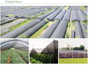  UV Treated Greenhouse Shade Net / Green Garden Net For Roofing Agriculture Cover Manufactures
