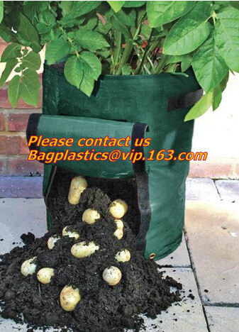  Horticulture, NURSERY, PLANTER, SEED, PLASTIC GROW BAGS, HYDROPONICS, FLOWERPOTS, BLACK Manufactures