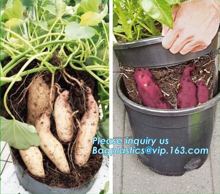  Tomato Potato Carrot Onion Peanut Growing Pot Garden Planter Pot,PP potato grow pot planting bag, bagplastics, bagease Manufactures