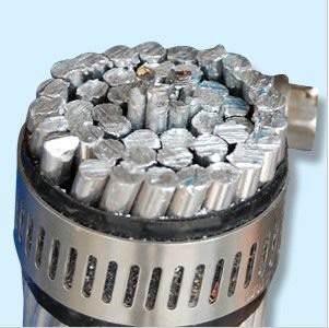  Power Transmission All Aluminum Conductor AAC Poppy Oxlip Tulip Conductor Manufactures