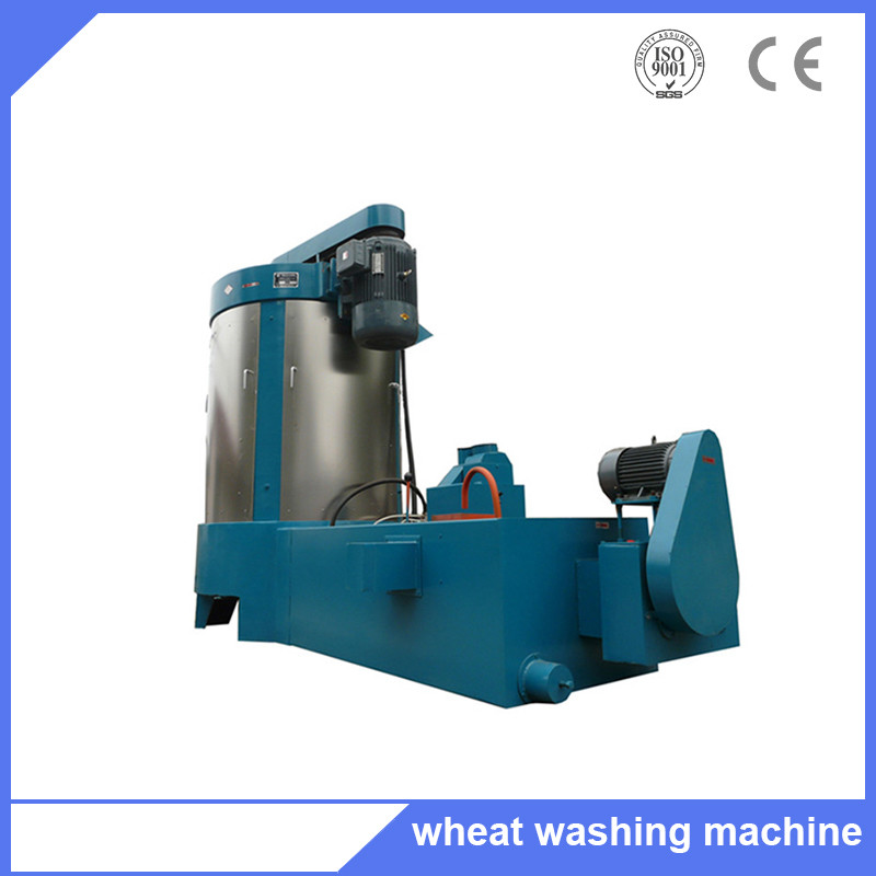  XMS 60 high capacity seeds washer machine, corn washing and drying machine Manufactures