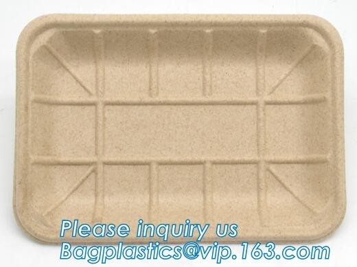  corn starch biodegradable meat tray corn starch dinnerware sets  biodegradable cake tray Rectangular Tray Paper Food Tra Manufactures