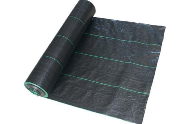  Virgin PP Polypropylene Ground Cover / Black Weed Control Fabric For Agriculture Manufactures