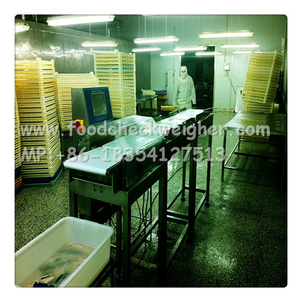  checkweigher systems online hot sales in Indonesia for lollipops production line Manufactures