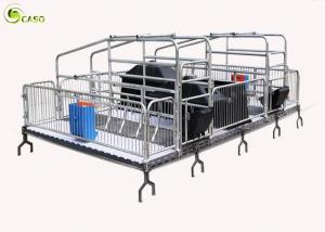  Automatic Pig Farrowing Crate , Pig Farrowing Pen Modern System Manufactures