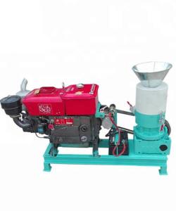 China AMSP120D Mini Flat Die Pellet Mill Designed for Pellet Stove and Poultry Feeding on sale