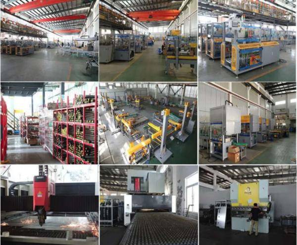 Top Load Bag Case Packer , High Efficiency Automatic Bag Packing Machine