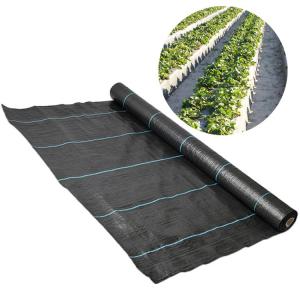  Weed Control Polypropylene Ground Cover UV Anti Recyclable Easy Install Manufactures