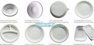  Disposable corn starch plates, biodegradable corn starch food container, biobased food tray Manufactures