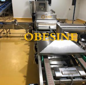  OBESINE full automatic Hamburger Bun Production Line,Automatic Sandwich bread production line ,Buns Manufactures