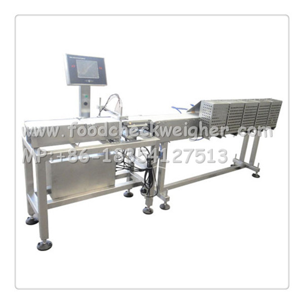  check weighers ,high speed and precision online weight inspection equipment Manufactures