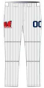  Customized 300gsm Long Baseball Teamwear Jersey Digital Sublimation Printing Manufactures