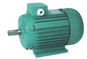 YS Fractional horsepower induction motors Manufactures