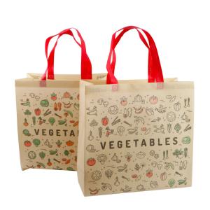  Non Woven Shopping PLA Gift Bag Manufactures