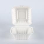 Eco Friendly 6 Inch X 6inch Biodegradable Disposable Bowl Sugarcane Hamburg Box