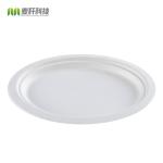 Wholesale disposable plate green bagasse pulp food plates