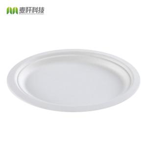  Wholesale disposable plate green bagasse pulp food plates Manufactures