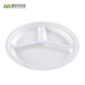  10&quot; Round 3-Compartment natural sugarcane fiber Plate Manufactures