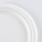 Biodegradable Food Container Bagasse Round Plates