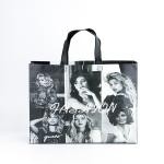 Gift Promotional Custom Non Woven Eco Friendly Reusable Logo Printed Shopping