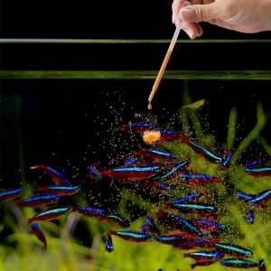 Original China factory UUIDEAR diy brine shrimp hatchery incubator kit