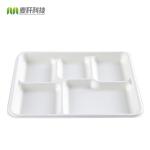 Eco Friendly 5c Biodegradable Disposable Tray Sugarcane Bagasse Products