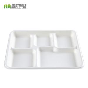  Eco Friendly 5c Biodegradable Disposable Tray Sugarcane Bagasse Products Compostable Manufactures
