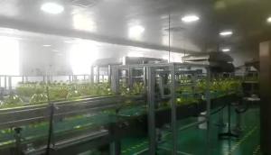  Stable Performance Various Liquid Oil Filling Machine Flexible Configuration Manufactures