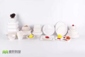  PIATTO TONDO IN POLPA DI CELLULOSA Manufactures