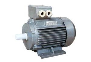  Y2 series three phase induction motor Manufactures