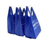Nice Design PP Non-Woven Bag for Shopping and Promotion