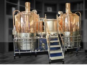 10HL 50HL Stainless Steel Beer Fermenter Pub Commercial Beer Brewing Equipment For Sale Manufactures