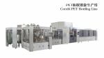 CE Mango Juice Production Line Automatic Hot Fill Bottling Equipment