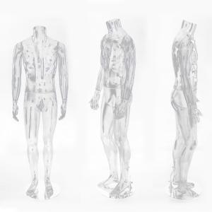  Hot sale plastic full body male Transparent headless mannequin for clothes display Manufactures