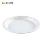 Wholesale disposable plate green bagasse pulp food plates