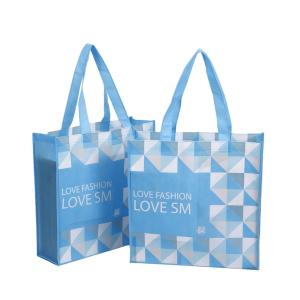 Reasonable Price Heavy Duty Custom Logo Recyclable Grocery Non Woven Shopping Bag Customer Manufactures