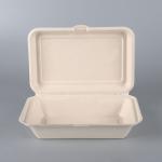 Biodegradable Disposable Sugarcane Bagasse Takeaway Food Container Packaging