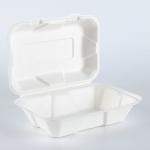 Biodegradable sugarcane bagasse disposable compostable clamshell take away food