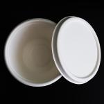 New Large Size Eco-friendly Biodegradable Sugarcane Fiber Bagasse Heavy Duty