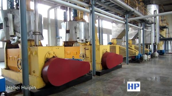 Model peanut cottonseed groundnut sunflower seed oil press machine with Vacuum