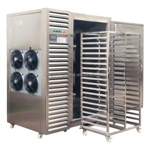  Frozen french fries freezer dryer machine fruit meat freeze drying machine Manufactures