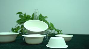  24oz Eco-friendly Disposable Biodegradable Sugarcane Bagasse Tray Manufactures