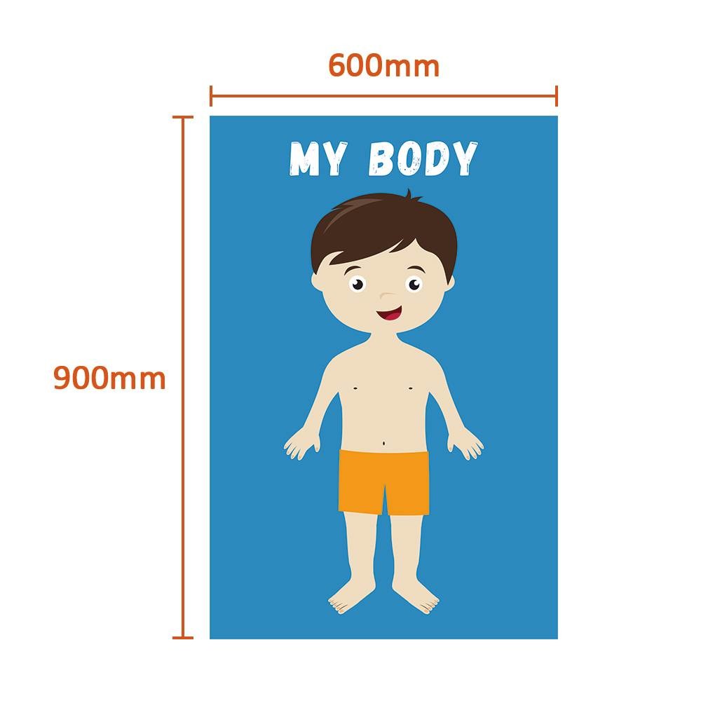 Removable Body Learning Custom Dry Erase Poster Board 48x36" With Magic Stickers