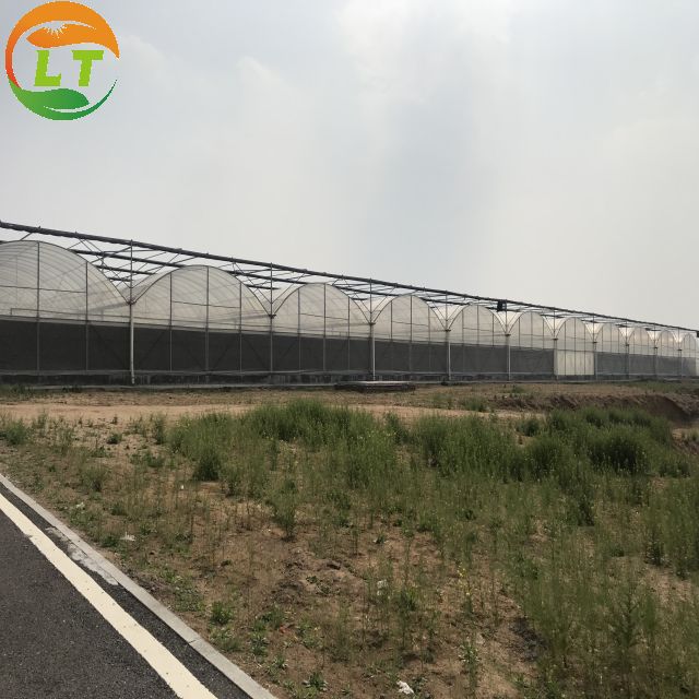 PE Strawberry Insulation Agricultural Greenhouses for Plants Growing and Affordable