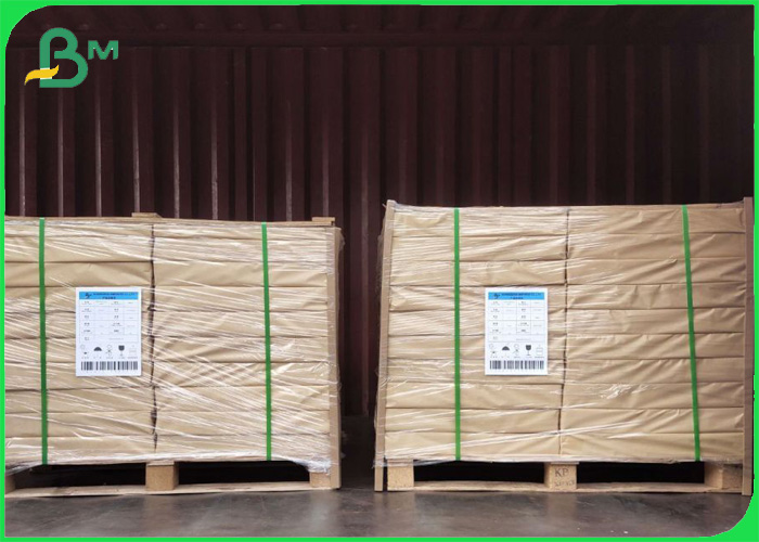 210g CupStock Base Paper Food Grade PE Coated 70cm x 100cm 