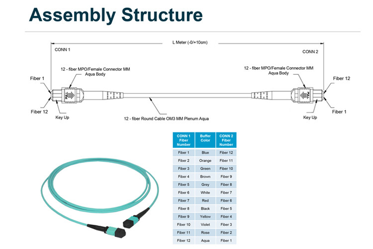 OM3 OM4 OS2 SM MM Elite Loss MTP Trunk Cable With MTP Connector